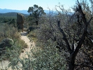 photo thumbnail #10