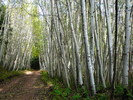 photo thumbnail #4