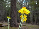 photo thumbnail #8