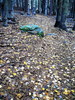 photo thumbnail #10