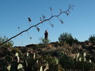 photo thumbnail #3