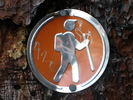 photo thumbnail #8
