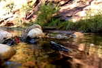 photo thumbnail #7