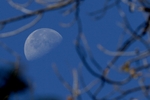 photo thumbnail #15