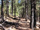photo thumbnail #2