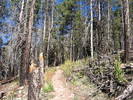 photo thumbnail #3