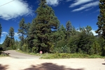 photo thumbnail #1