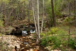 photo thumbnail #6