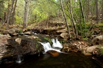 photo thumbnail #7
