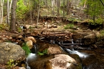 photo thumbnail #8