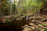 photo thumbnail #10