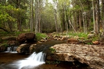 photo thumbnail #12