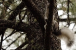photo thumbnail #15