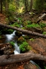 photo of comment