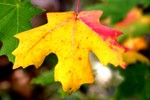 photo thumbnail #14