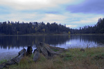 photo thumbnail #15