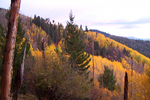 photo thumbnail #11