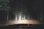photo thumbnail #14