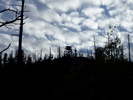 recent photo
