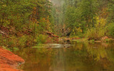 photo thumbnail #2