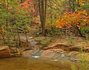 photo thumbnail #3