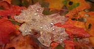 photo thumbnail #15