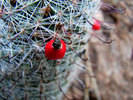 photo thumbnail #11