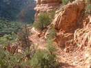 photo thumbnail #12