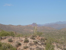 photo thumbnail #1