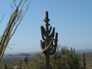 photo thumbnail #5