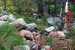 photo thumbnail #3