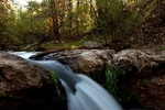 photo thumbnail #9