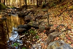 photo thumbnail #12