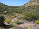 photo thumbnail #13