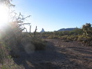 photo thumbnail #3