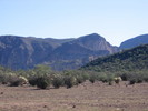 recent photo