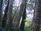photo thumbnail #5