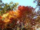 photo thumbnail #8