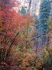 photo thumbnail #15