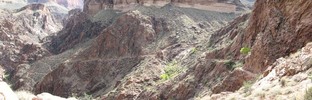photo thumbnail #10