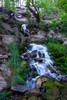photo thumbnail #13