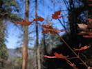 photo thumbnail #10
