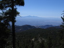 photo thumbnail #11