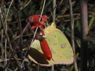 photo thumbnail #14