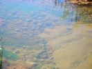 photo thumbnail #15