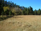 photo thumbnail #8