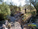 photo thumbnail #5