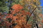 photo thumbnail #11