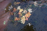 photo thumbnail #13