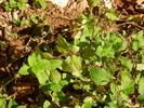 photo thumbnail #6